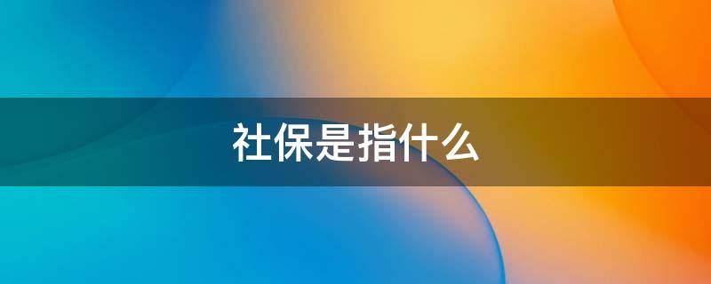 社保是指什么 个人社保是指什么