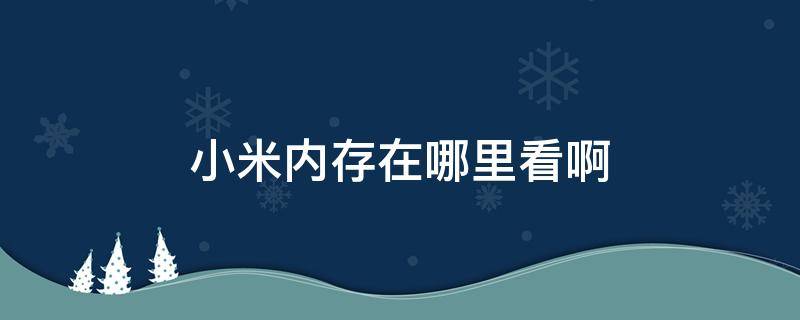 小米内存在哪里看啊 小米手机内存