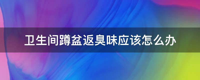 卫生间蹲盆返臭味应该怎么办 卫生间蹲坑反臭味