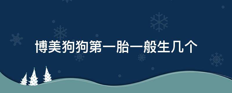 博美狗狗第一胎一般生几个（博美犬第一胎一般生几只）