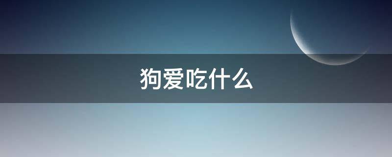 狗爱吃什么 泰迪狗爱吃什么