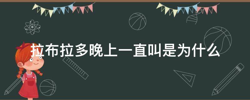 拉布拉多晚上一直叫是为什么 拉布拉多一到晚上就叫