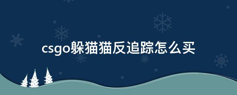 csgo躲猫猫反追踪怎么买 csgo躲猫猫买追踪器
