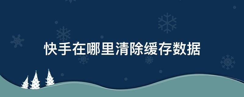 快手在哪里清除缓存数据 快手从哪里清除缓存