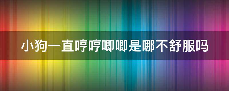 小狗一直哼哼唧唧是哪不舒服吗（小狗老是哼哼唧唧是怎么回事）