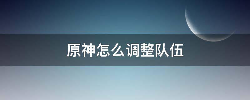 原神怎么调整队伍（原神怎么调整队伍阵容）