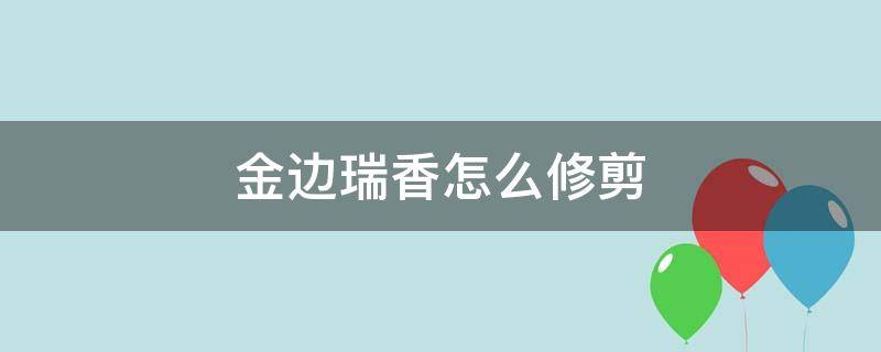 金边瑞香怎么修剪（金边瑞香怎么修剪视频）