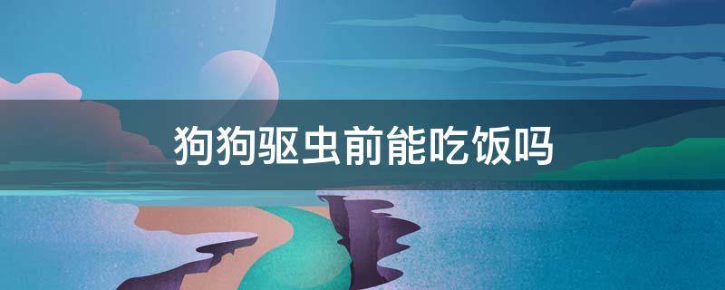 狗狗驱虫前能吃饭吗 狗狗刚吃了饭可以驱虫吗