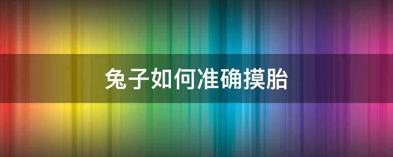 兔子如何准确摸胎 兔子怀孕怎么摸胎