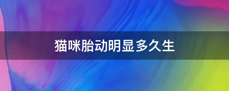 猫咪胎动明显多久生 猫怀孕胎动明显还有多久生