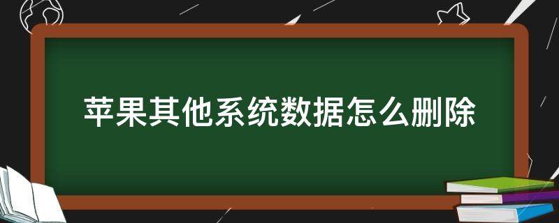 苹果其他系统数据怎么删除 苹果其他系统数据怎么删除百度贴吧