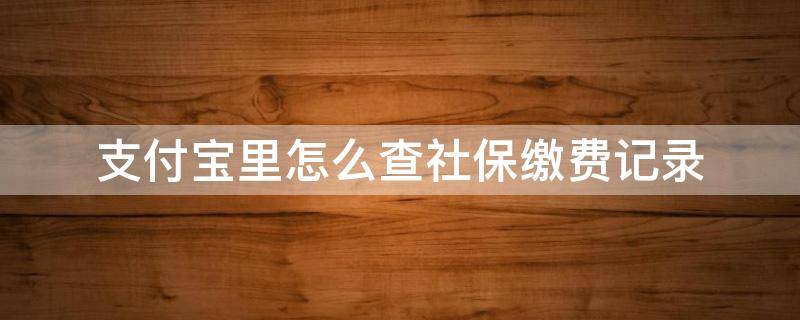 支付宝里怎么查社保缴费记录 支付宝上面怎么查社保缴费记录