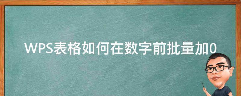 WPS表格如何在数字前批量加0（wps表格前面加零怎么加）