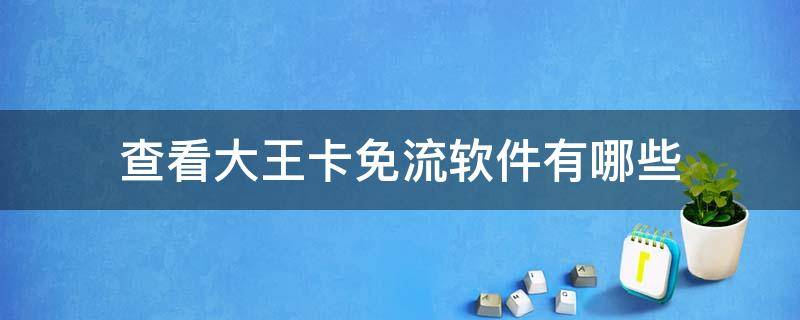 查看大王卡免流软件有哪些（怎么查看大王卡免流软件）