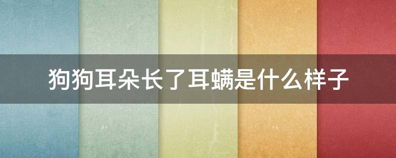 狗狗耳朵长了耳螨是什么样子 狗狗耳螨长啥样