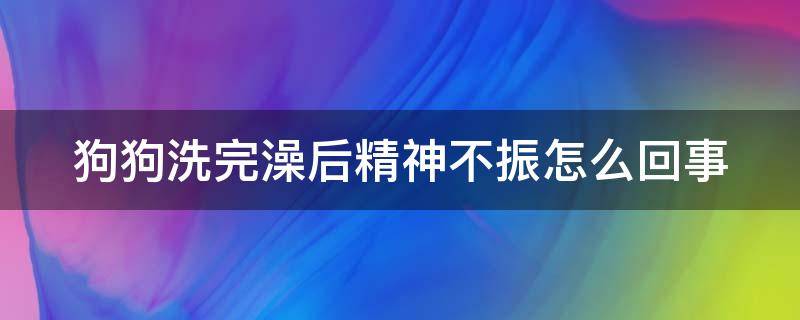 狗狗洗完澡后精神不振怎么回事（狗狗洗完澡后精神不振怎么回事呢）