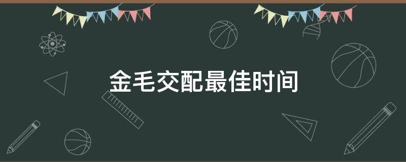 金毛交配最佳时间（金毛配种时间哪个是最佳时期）