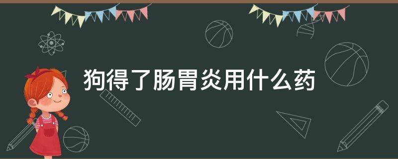 狗得了肠胃炎用什么药 狗狗的胃肠炎用什么药物治疗