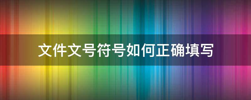 文件文号符号如何正确填写（文件号的符号）