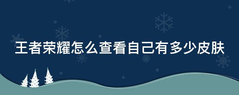 王者荣耀怎么查看自己有多少皮肤（王者荣耀怎么查看自己有多少皮肤记录）