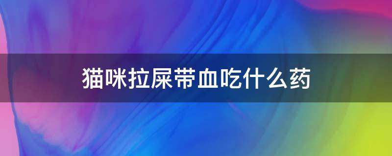 猫咪拉屎带血吃什么药 猫咪拉粑粑带血吃什么药