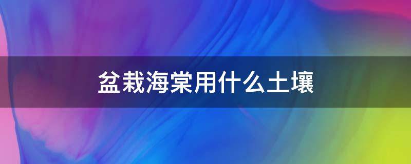 盆栽海棠用什么土壤 海棠用什么土栽最好呢