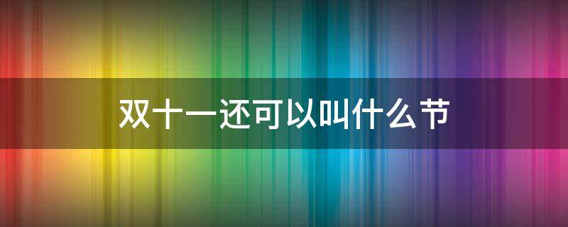 双十一还可以叫什么节(双十一还有什么节日)