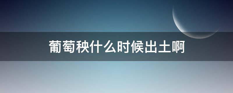 葡萄秧什么时候出土啊 葡萄秧啥时候出土