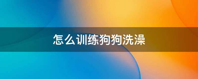 怎么训练狗狗洗澡 如何训练狗狗洗澡