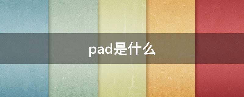 pad是什么（pad是什么病的缩写）