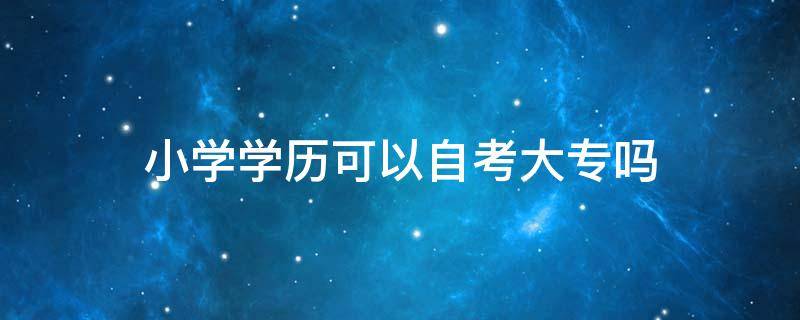 小学学历可以自考大专吗 有没有小学毕业自考大专学历的