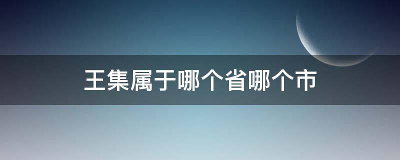 王集属于哪个省哪个市（王集在哪个位置）