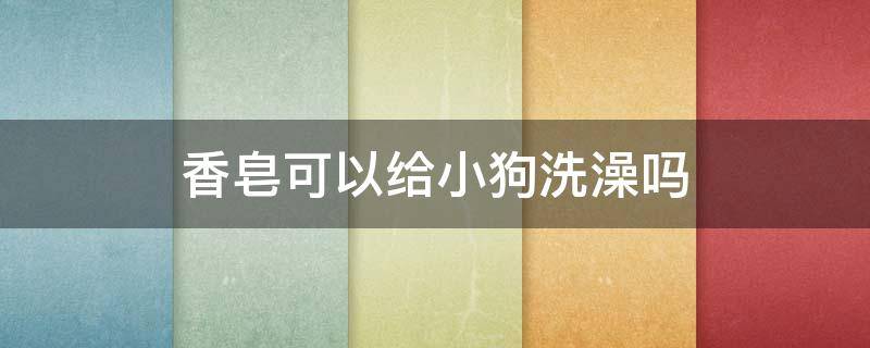 香皂可以给小狗洗澡吗 香皂可以给狗狗洗澡吗