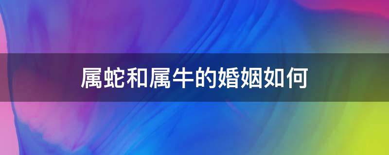 属蛇和属牛的婚姻如何（属牛与属蛇的婚姻咋样）