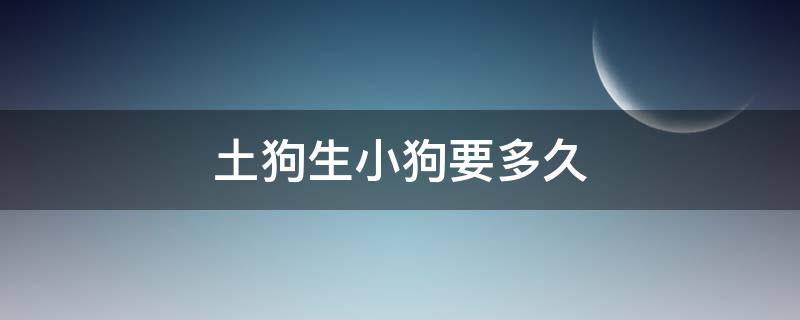 土狗生小狗要多久（土狗多大会生小狗）