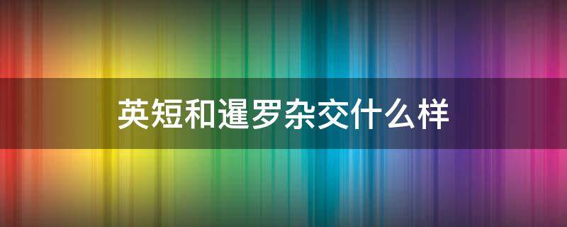 英短和暹罗杂交什么样（暹罗猫跟英短杂交）