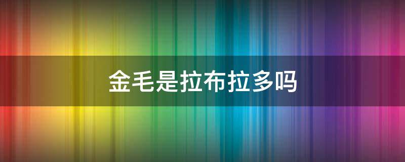 金毛是拉布拉多吗（金毛属于拉布拉多吗?）