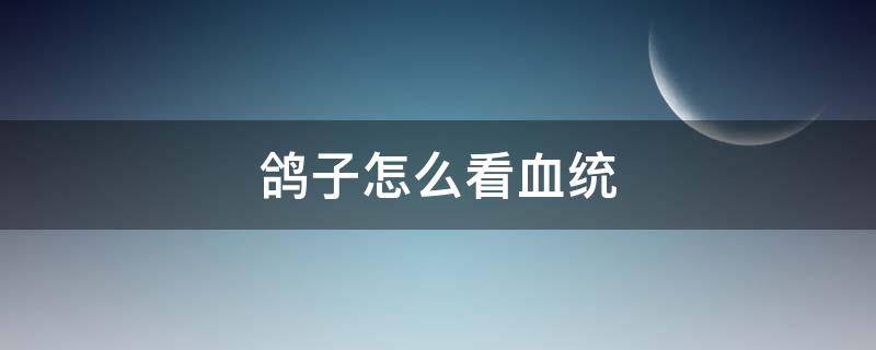 鸽子怎么看血统（怎么看信鸽是什么血统）