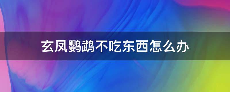 玄凤鹦鹉不吃东西怎么办（玄凤鹦鹉不吃东西怎么办,便便是绿色的）