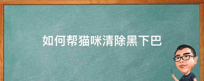 如何帮猫咪清除黑下巴 如何帮猫咪清除黑下巴视频