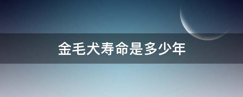 金毛犬寿命是多少年 金毛犬寿命是多少年,金毛一般能活多久