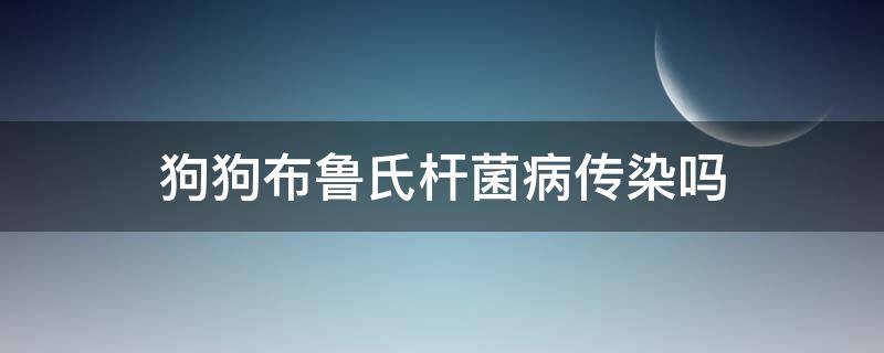 狗狗布鲁氏杆菌病传染吗（布鲁氏菌病狗狗会传染吗）