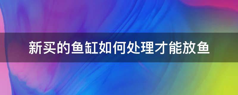 新买的鱼缸如何处理才能放鱼（新买的鱼缸怎么处理才可以放鱼）