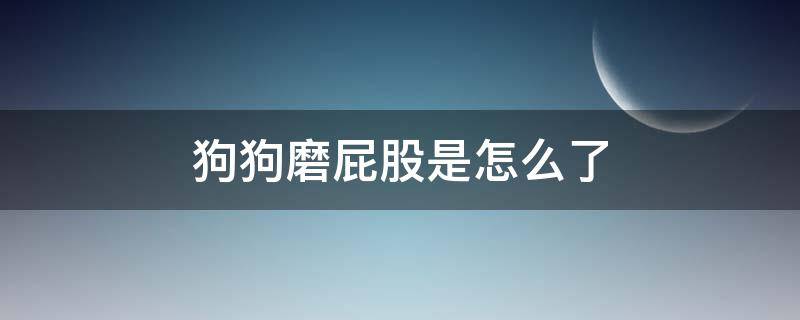 狗狗磨屁股是怎么了 小狗磨屁股是什么情况