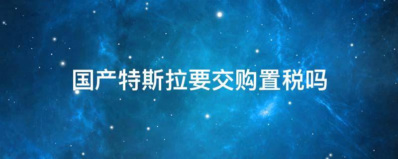 国产特斯拉要交购置税吗（国产特斯拉有税吗）