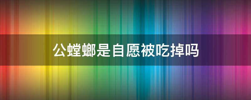 公螳螂是自愿被吃掉吗 公螳螂是自愿被吃的么