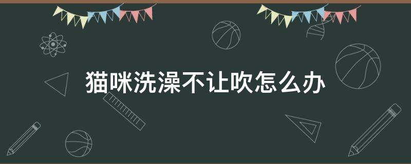 猫咪洗澡不让吹怎么办（猫咪洗完澡不让吹怎么办）