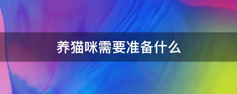 养猫咪需要准备什么（养猫咪需要准备什么营养品）