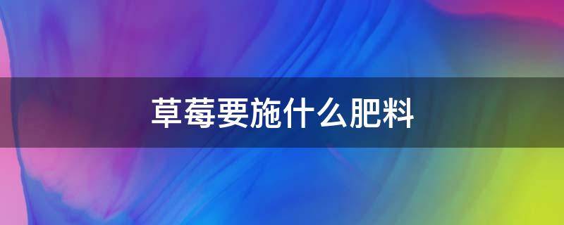 草莓要施什么肥料（草莓用什么施肥）