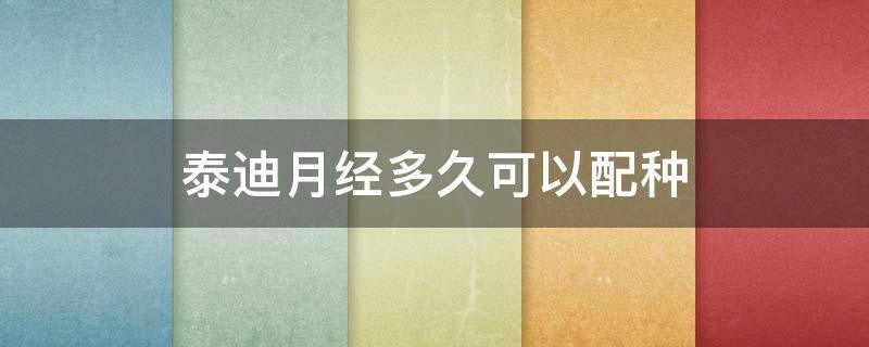 泰迪月经多久可以配种 泰迪来例假多久可以配种